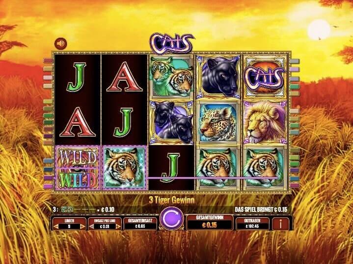 Cats Slot Win